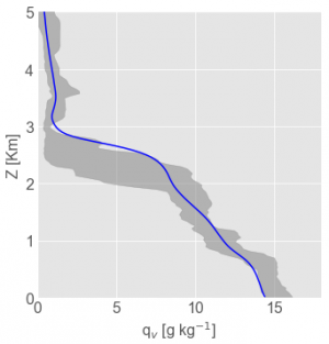 Evaluation of the thermodynamic vertical structure simulated with DALES against a set of dropsondes for one of the HALO circles on 5 Feb 2020.