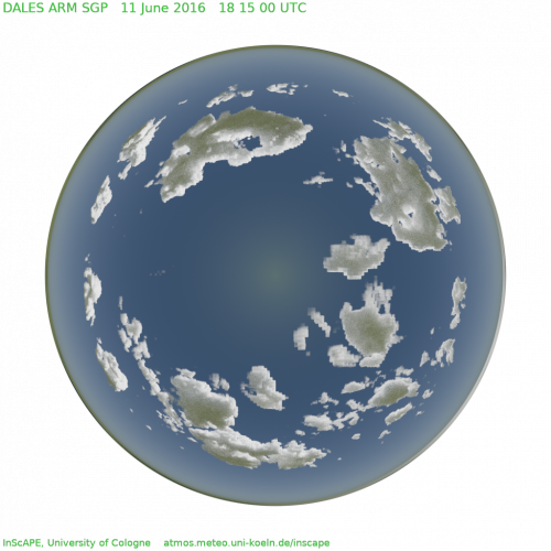 TSI projection of DALES clouds