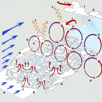 Illustration of a cold-air outbreak over a marginal sea-ice zone — The horizontal and vertical distances are not up to scale. Only the main processes are illustrated: **A**– the advection of cold air, **B**– the edge of ice, **C**– convective plumes, **D**– steam fog , **E**– clouds (stratocumulus type), **F**– outgoing longwave radiation, **G**– convective rolls (the mean wind component not displayed), **H**– precipitation, **I**– cloud entrainment, **J**– clouds (cumulus type) \\ reproduced from //Variability within cold air outbreaks and implications for parametrization// (( Chylik, J. (2017). //Variability within cold air outbreaks and implications for parametrization//. PhD thesis, University of East Anglia )) //