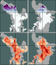  2D slices of liquid water and vertical velocity through a 3D convective plume