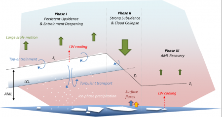 Schematic illustration of the control of subsidence on Arctic mixed-layer evolution. Figure copied from Neggers et al (2019)