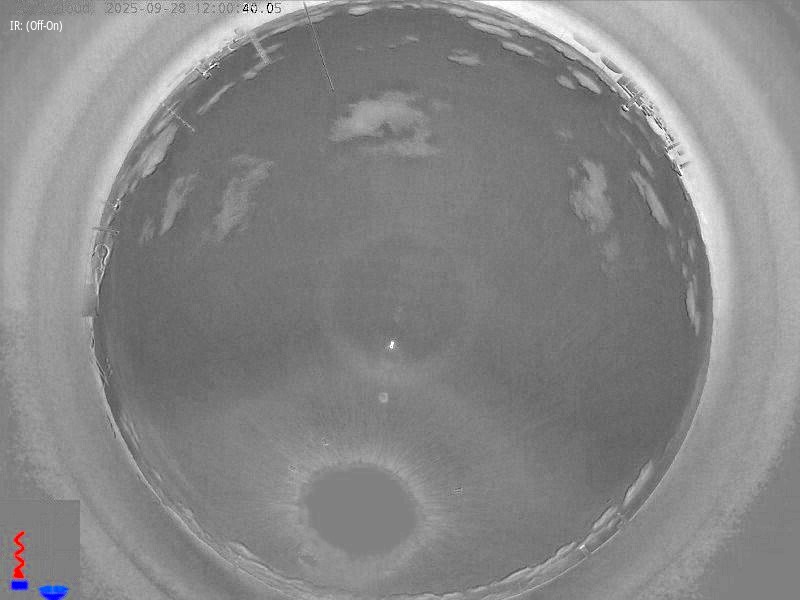 on_bw-off